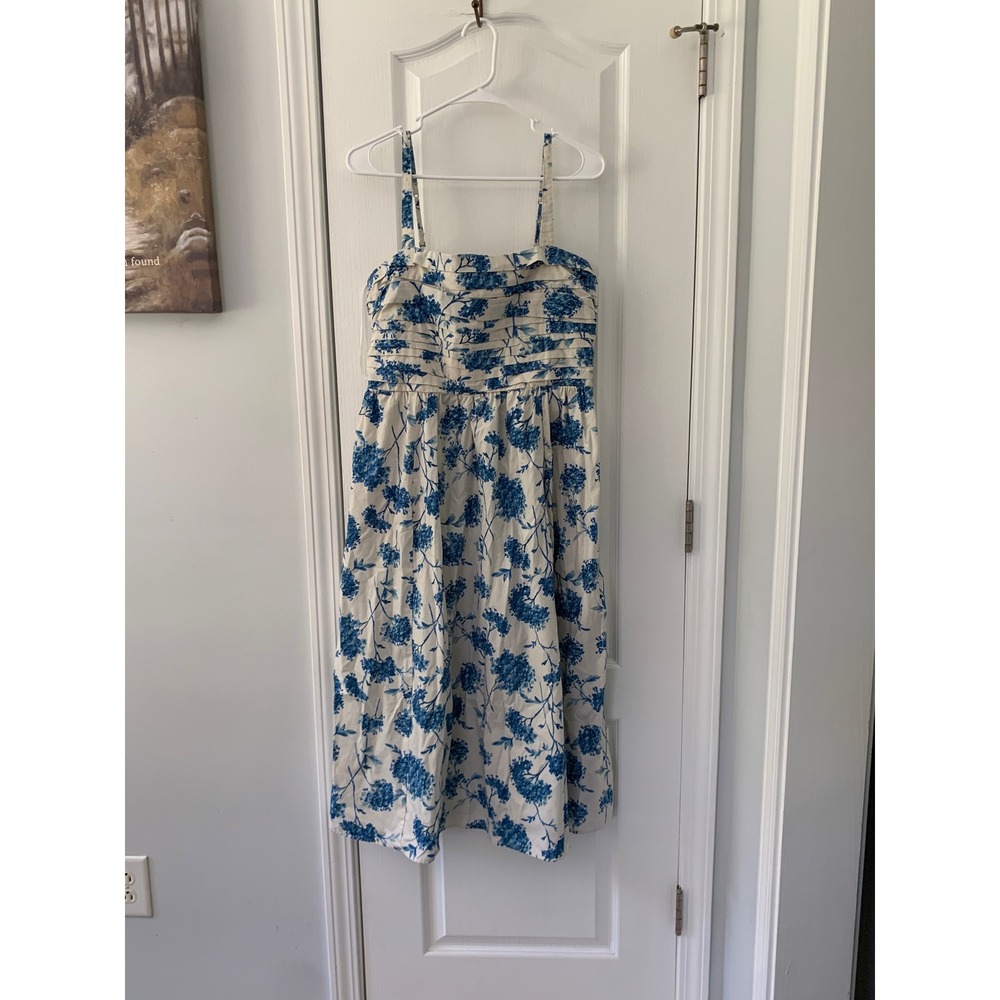 Abercrombie & Fitch Blue Floral Hydrangea Pleated Midi Dress Large Cottagecore
